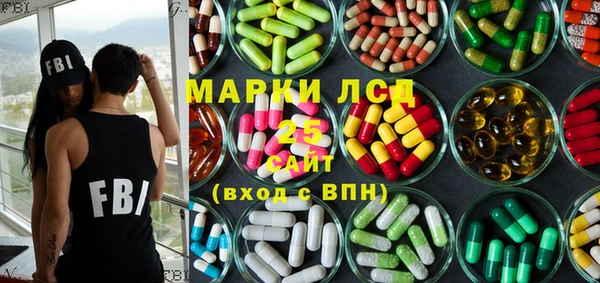 PSILOCYBIN Козловка