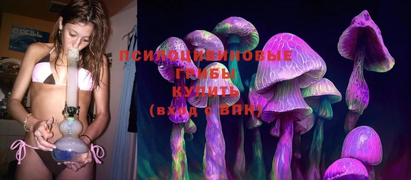 PSILOCYBIN Козловка