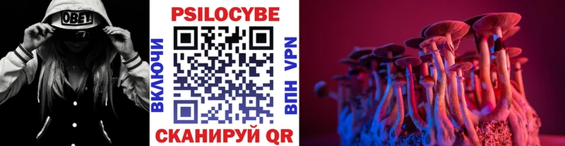 Псилоцибиновые грибы GOLDEN TEACHER  как найти   Артём 